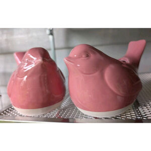 New Pair Of Pink Bird Succulent Planters Farmhouse Birds Succulent Pots Set Of 2